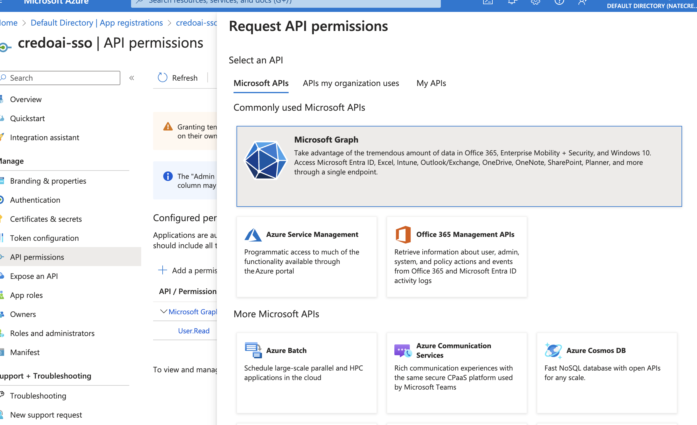 Request API Permissions